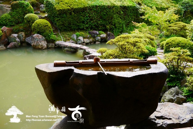 古美樹滿峯園日本庭園