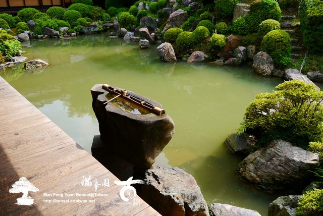 古美樹滿峯園日本庭園