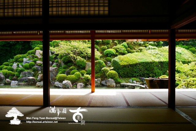 古美樹滿峯園日本庭園