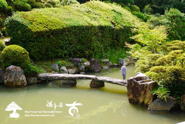 古美樹滿峯園日本庭園