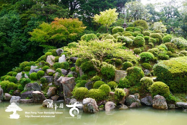 古美樹滿峯園日本庭園