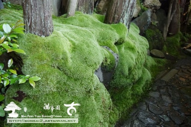 102314AB 5AC8 4DE0 9D07 D0CF2CB45AA5 [日本庭園]京料理．瓢亭の美