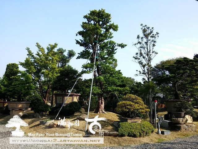 古美樹滿峯園庭園造景設計