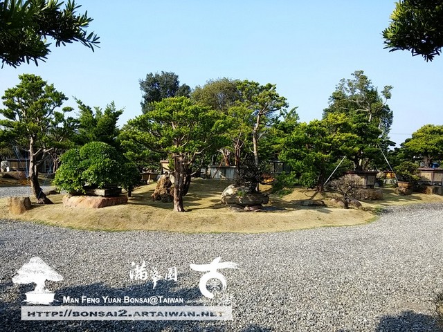 古美樹滿峯園庭園造景設計