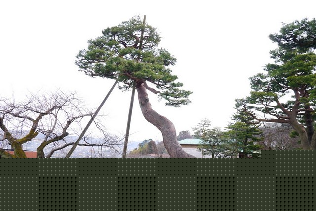 古美樹滿峯園日本庭園
