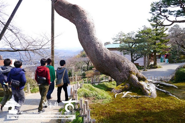 古美樹滿峯園日本庭園