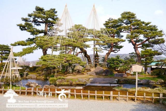 古美樹滿峯園日本庭園