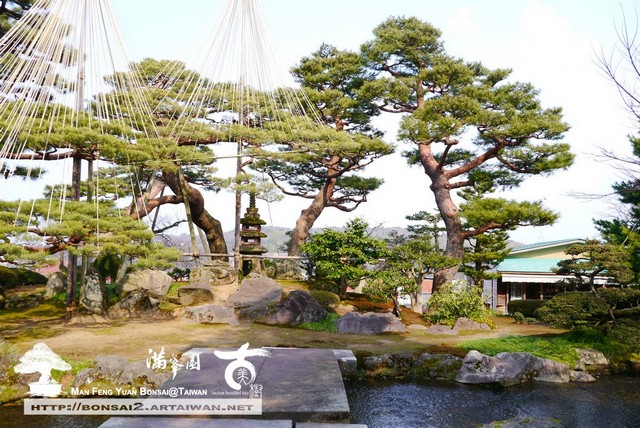 古美樹滿峯園日本庭園