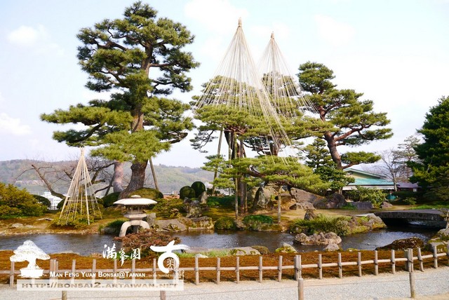 古美樹滿峯園日本庭園