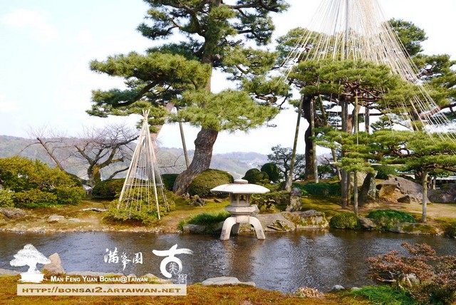 古美樹滿峯園日本庭園