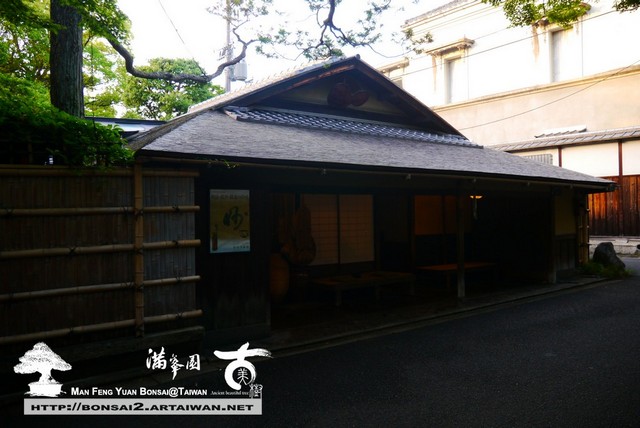 古美樹滿峯園日本庭園羅漢松真柏