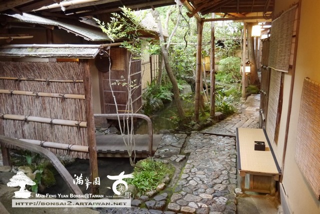 古美樹滿峯園日本庭園羅漢松真柏