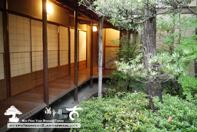 古美樹滿峯園日本庭園羅漢松真柏