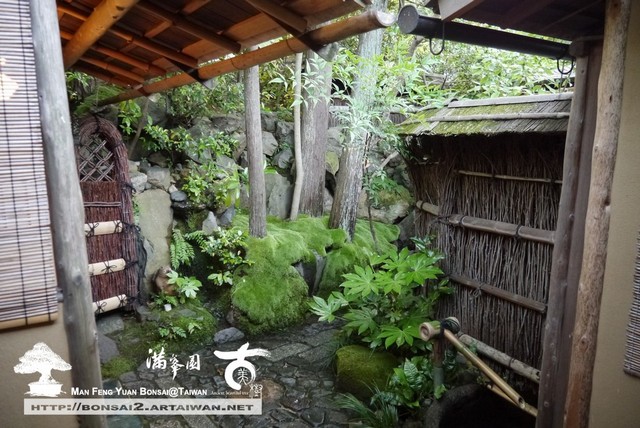 古美樹滿峯園日本庭園羅漢松真柏