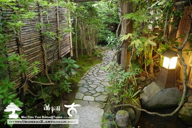 古美樹滿峯園日本庭園羅漢松真柏