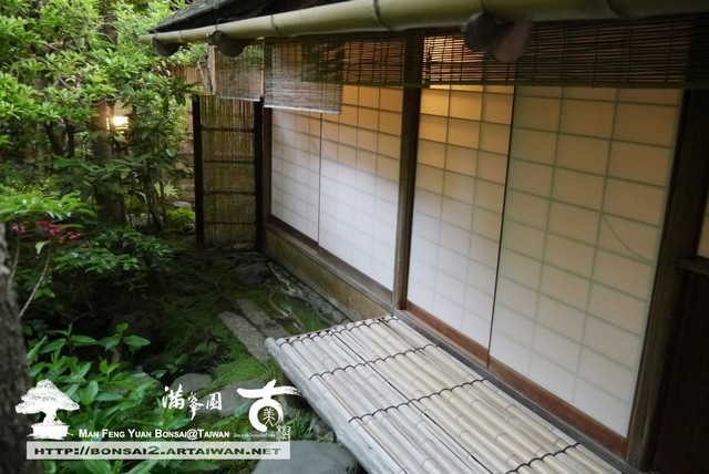 古美樹滿峯園日本庭園羅漢松真柏