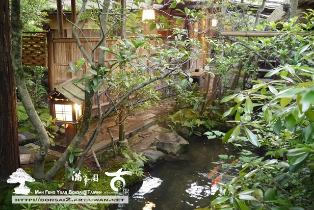 古美樹滿峯園日本庭園羅漢松真柏