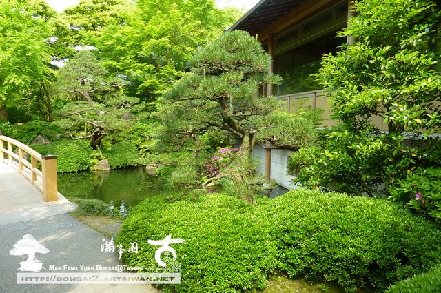 古美樹滿峯園日本庭園造景