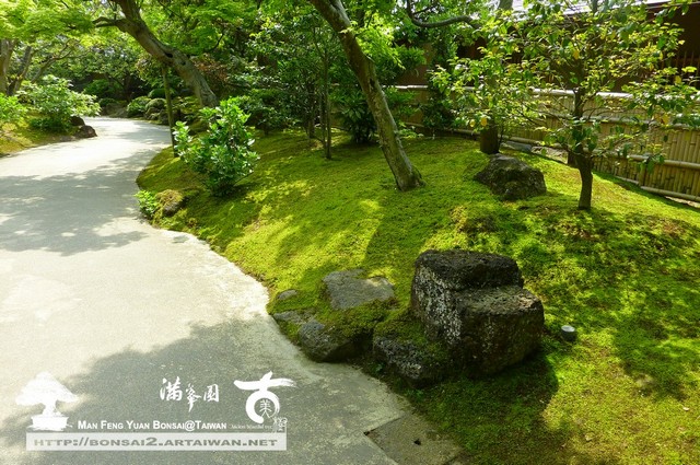 古美樹滿峯園日本庭園造景