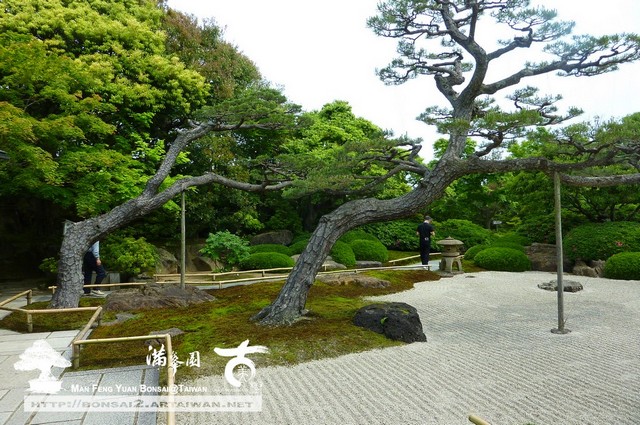 古美樹滿峯園日本庭園由志園