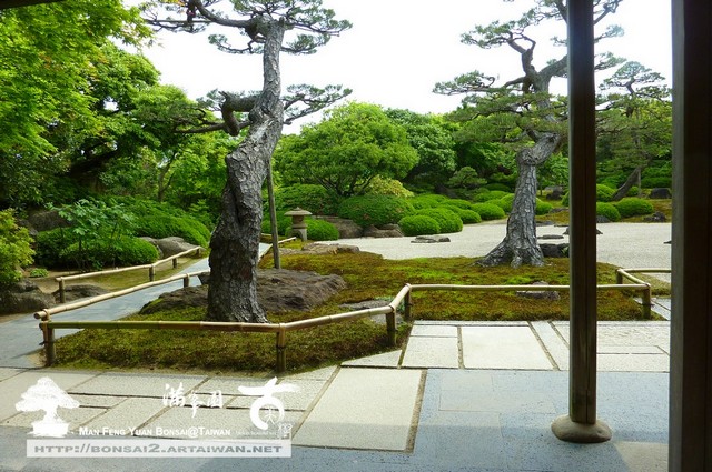 古美樹滿峯園日本庭園由志園
