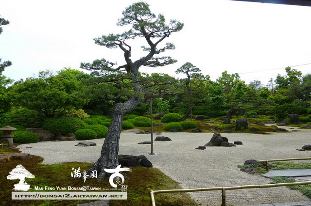古美樹滿峯園日本庭園由志園