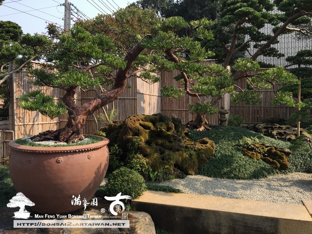 古美樹滿峯園庭園造景