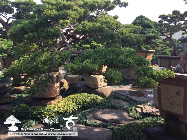 古美樹滿峯園庭園造景