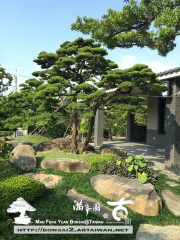 古美樹滿峯園庭園造景