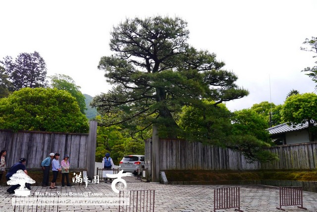 古美樹滿峯園日本庭園修學院