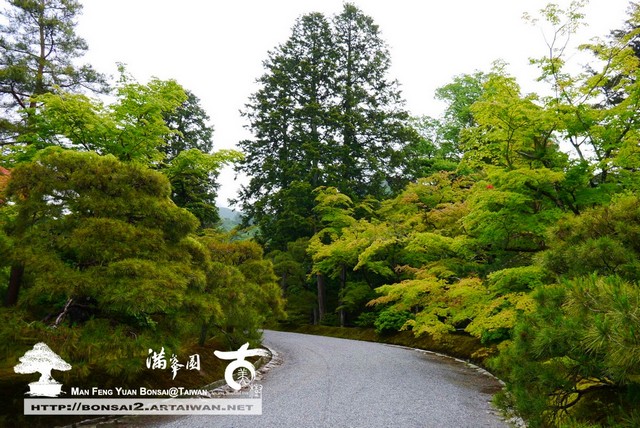 古美樹滿峯園日本庭園修學院