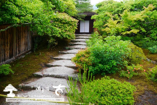 古美樹滿峯園日本庭園修學院
