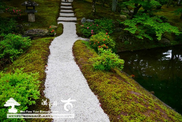 古美樹滿峯園日本庭園修學院