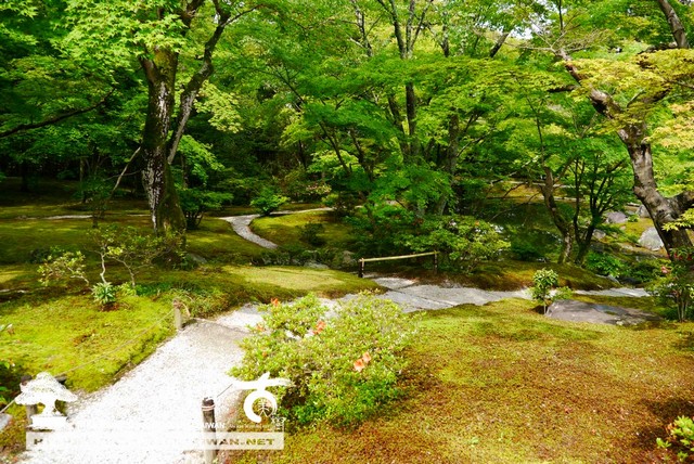 古美樹滿峯園日本庭園修學院