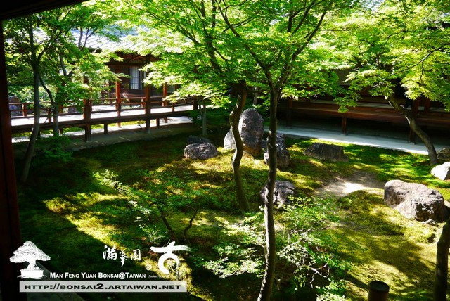 古美樹滿峯園日本庭園