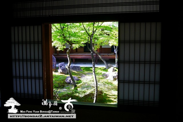 古美樹滿峯園日本庭園