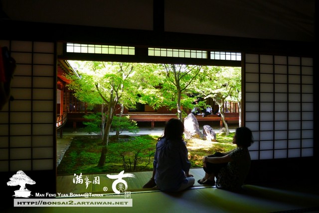 古美樹滿峯園日本庭園