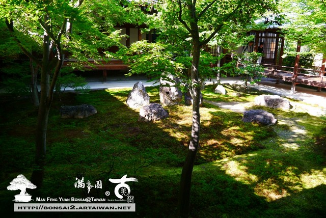 古美樹滿峯園日本庭園