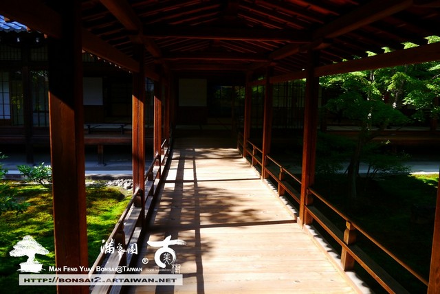 古美樹滿峯園日本庭園