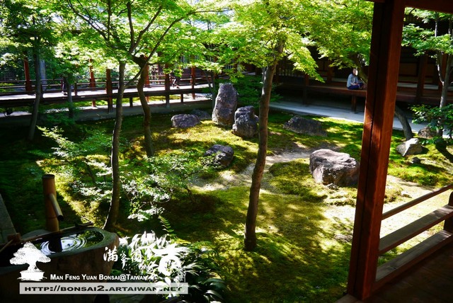 古美樹滿峯園日本庭園