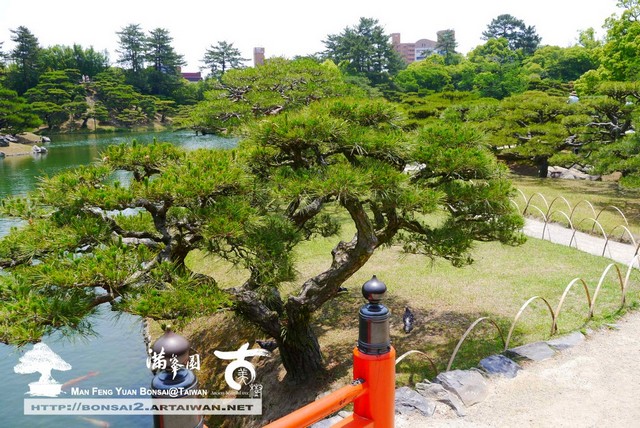 古美樹滿峯園日本庭園栗林公園