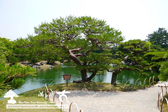 古美樹滿峯園日本庭園栗林公園