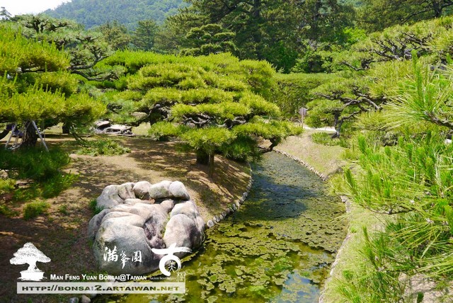 古美樹滿峯園日本庭園栗林公園