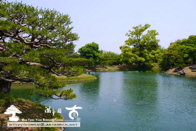 古美樹滿峯園日本庭園栗林公園