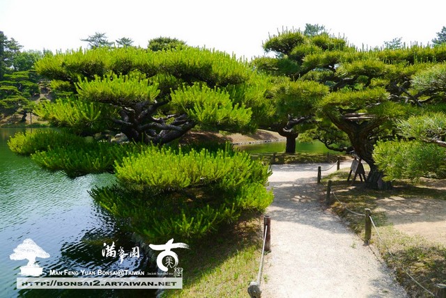 古美樹滿峯園日本庭園栗林公園