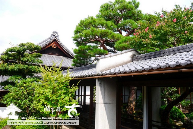 古美樹滿峯園日本庭園智積院