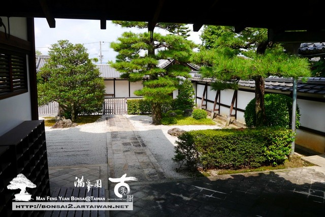 古美樹滿峯園日本庭園智積院