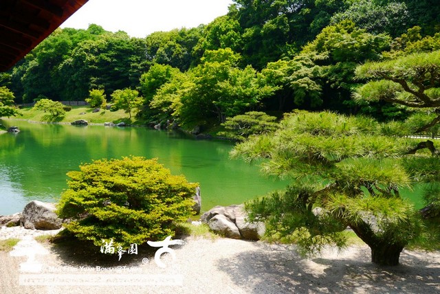 古美樹滿峯園日本庭園栗林公園