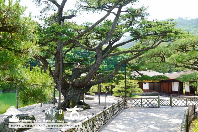 古美樹滿峯園日本庭園栗林公園