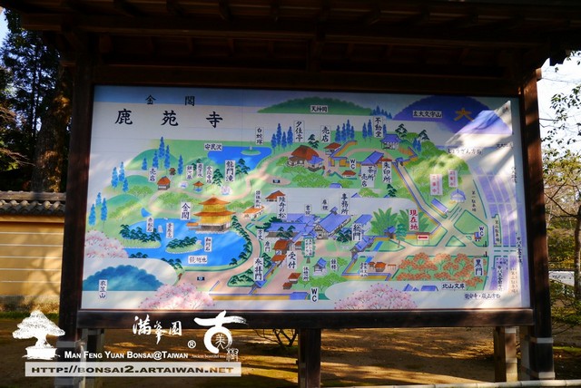 古美樹滿峯園金閣寺日本庭園